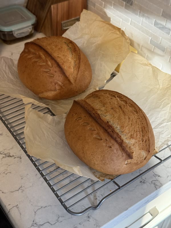 Two freshly baked sourdough loaves cooling on a wire rack