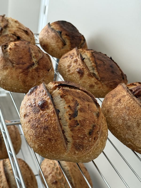 Jalapeño cheddar loaves with cheese caramelised on the crust