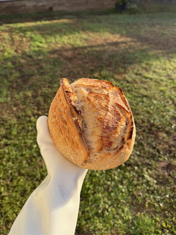 Rosemary sourdough loaf