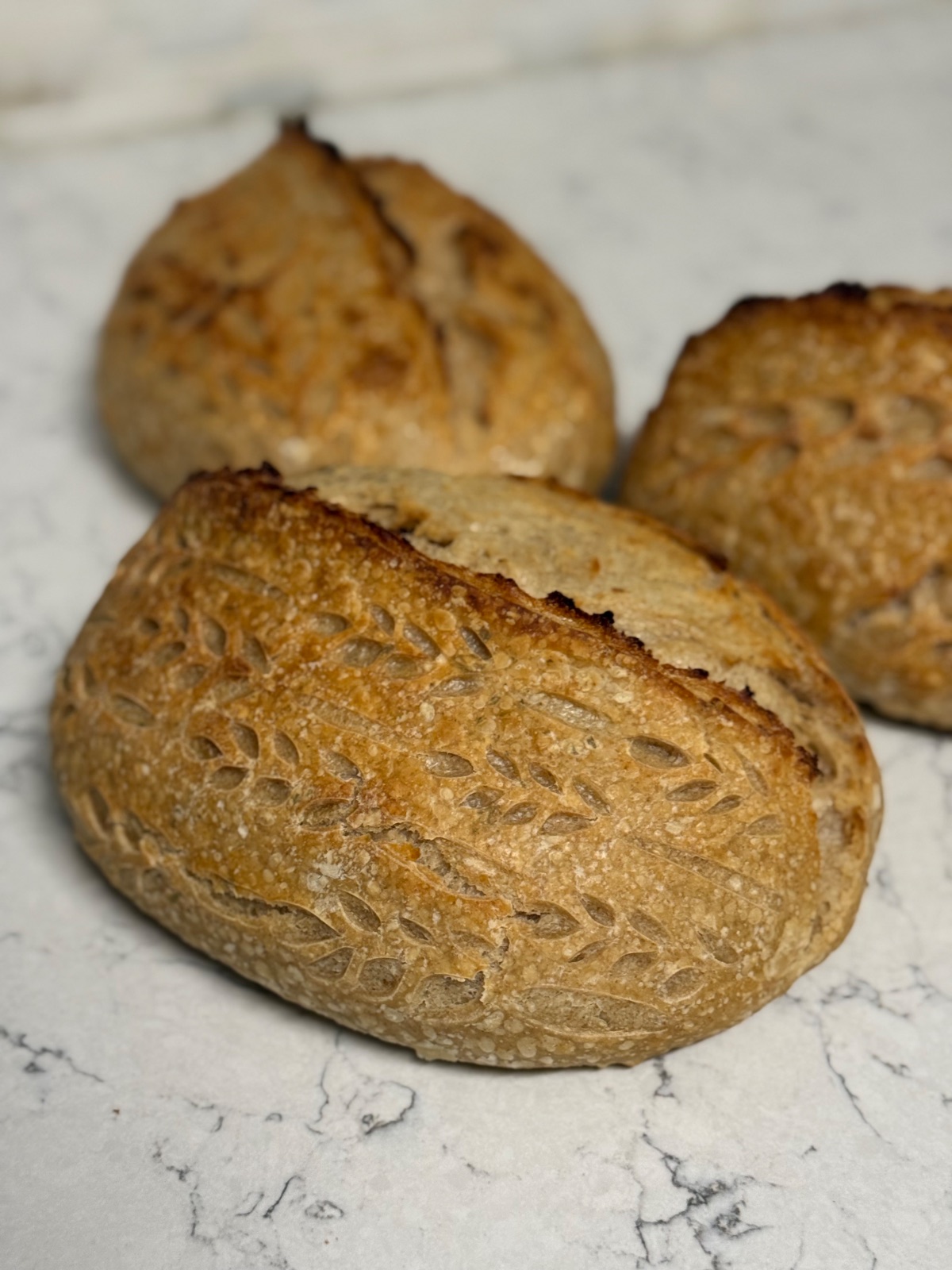 Classic Sourdough — Sourdough Loaves, The Harvest, Canton GA